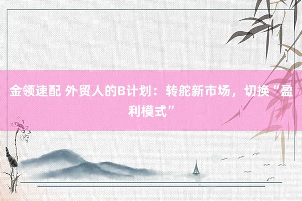 金领速配 外贸人的B计划：转舵新市场，切换“盈利模式”