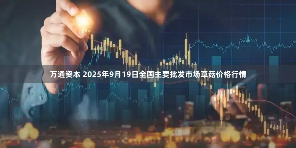 万通资本 2025年9月19日全国主要批发市场草菇价格行情