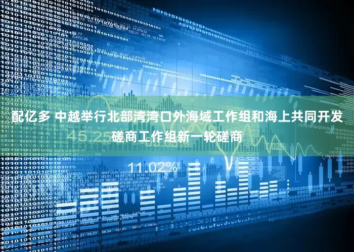 配亿多 中越举行北部湾湾口外海域工作组和海上共同开发磋商工作组新一轮磋商