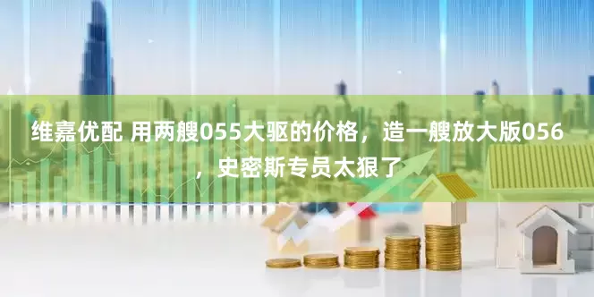 维嘉优配 用两艘055大驱的价格，造一艘放大版056，史密斯专员太狠了